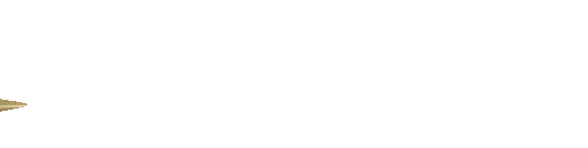 ARESGACOR